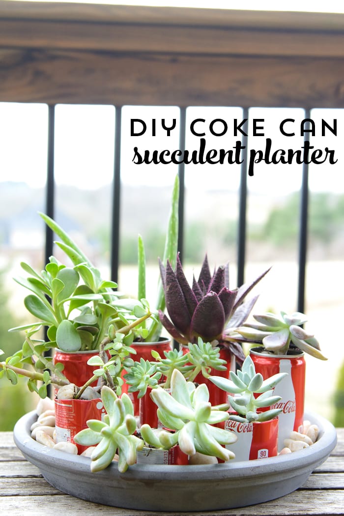 https://www.polkadotchair.com/wp-content/uploads/2015/03/diy-coke-can-succulent-planters.jpg