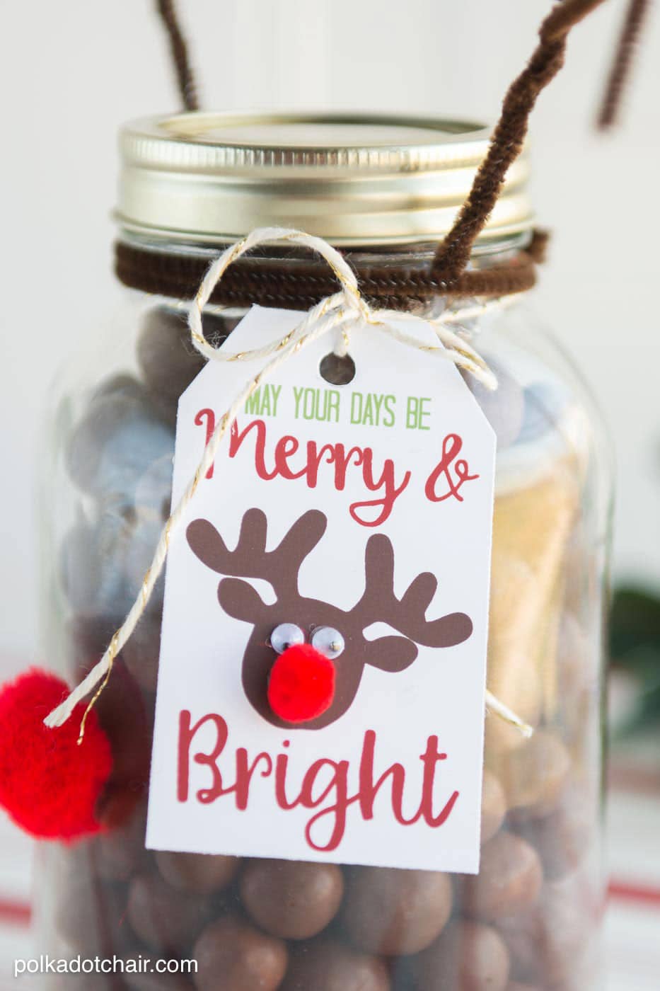 Reindeer Christmas Mason Jar Gift Idea