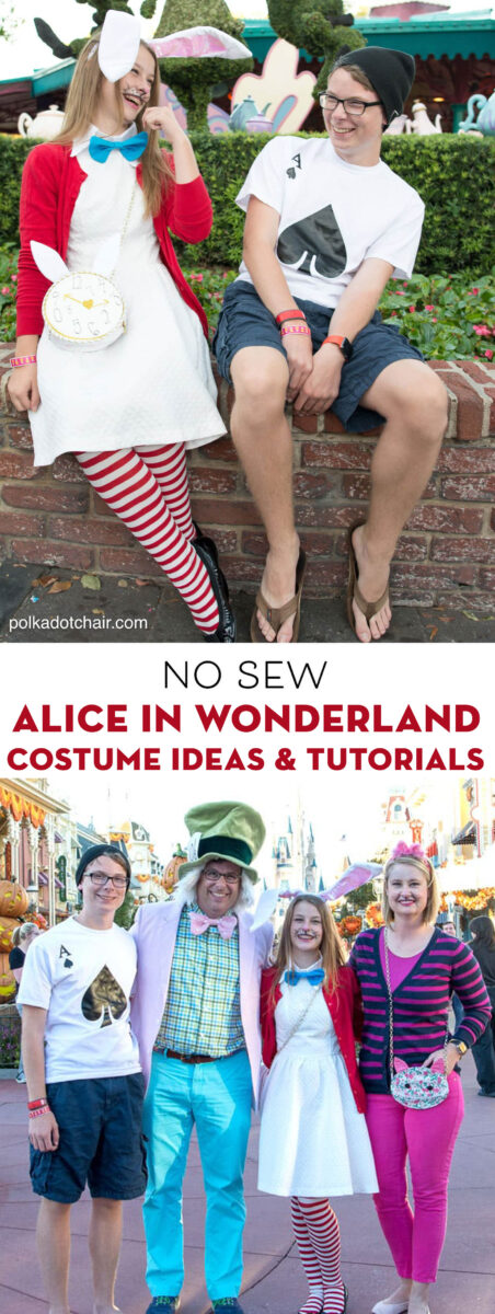 alice in wonderland characters costumes diy