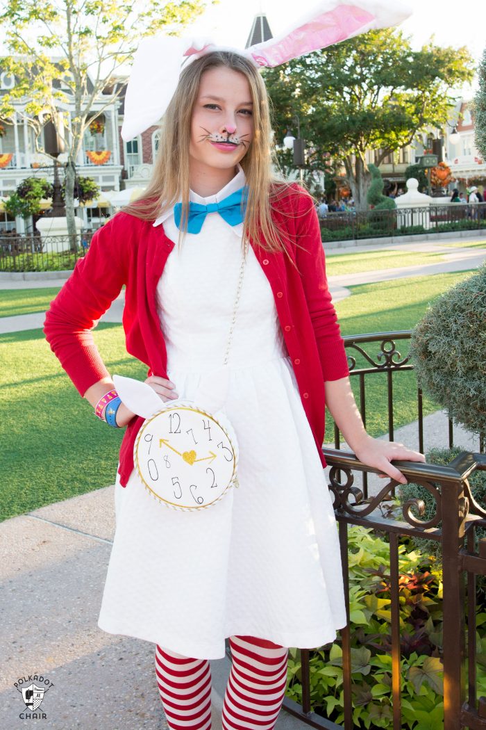 Alice in Wonderland Clock Purse