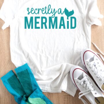 Download DIY Disney Parks Tees and free Cricut SVG Files - The ...