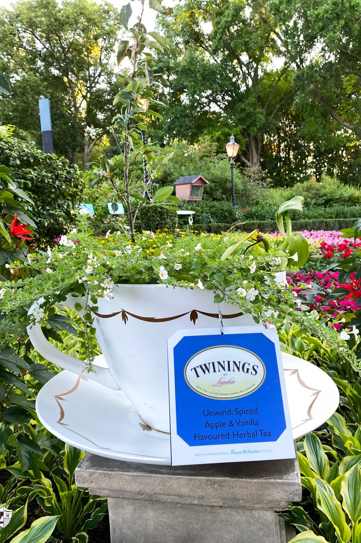 teapot with flowers